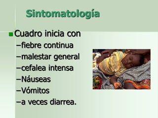 Sintomatología
 Cuadro inicia con
–fiebre continua
–malestar general
–cefalea intensa
–Náuseas
–Vómitos
–a veces diarrea.
 