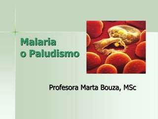 Malaria
o Paludismo
Profesora Marta Bouza, MSc
 