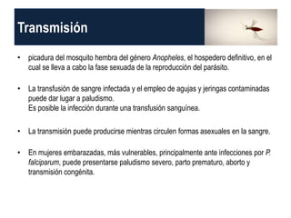 Transmisión
• picadura del mosquito hembra del género Anopheles, el hospedero definitivo, en el
cual se lleva a cabo la fase sexuada de la reproducción del parásito.
• La transfusión de sangre infectada y el empleo de agujas y jeringas contaminadas
puede dar lugar a paludismo.
Es posible la infección durante una transfusión sanguínea.
• La transmisión puede producirse mientras circulen formas asexuales en la sangre.
• En mujeres embarazadas, más vulnerables, principalmente ante infecciones por P.
falciparum, puede presentarse paludismo severo, parto prematuro, aborto y
transmisión congénita.
 