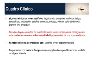 Cuadro Clínico
• signos y síntomas no específicos: taquicardia, taquipnea, malestar, fatiga,
escalofríos, sudoración, cefalea, anorexia, náusea, vómito, dolor abdominal,
diarrea, tos, artralgias.
• Debido a la gran variedad de manifestaciones, debe contemplarse el diagnóstico
ante pacientes con una enfermedad febril provenientes de una zona endémica.
• hallazgos físicos a considerar son: anemia leve y esplenomegalia.
• En pacientes con malaria falciparum no complicada es posible apreciar también
una ligera ictericia.
 