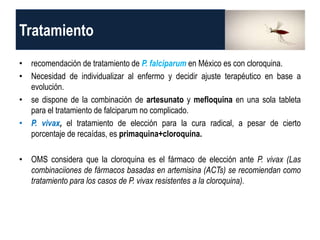 Tratamiento
• recomendación de tratamiento de P. falciparum en México es con cloroquina.
• Necesidad de individualizar al enfermo y decidir ajuste terapéutico en base a
evolución.
• se dispone de la combinación de artesunato y mefloquina en una sola tableta
para el tratamiento de falciparum no complicado.
• P. vivax, el tratamiento de elección para la cura radical, a pesar de cierto
porcentaje de recaídas, es primaquina+cloroquina.
• OMS considera que la cloroquina es el fármaco de elección ante P. vivax (Las
combinaciiones de fármacos basadas en artemisina (ACTs) se recomiendan como
tratamiento para los casos de P. vivax resistentes a la cloroquina).
 