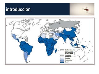 introducción
 