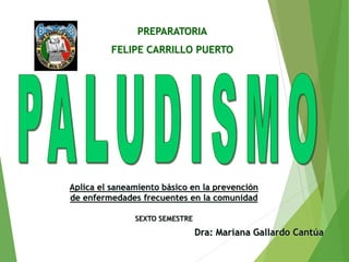 PREPARATORIA
FELIPE CARRILLO PUERTO
Dra: Mariana Gallardo Cantúa
Aplica el saneamiento básico en la prevención
de enfermedades frecuentes en la comunidad
SEXTO SEMESTRE
 