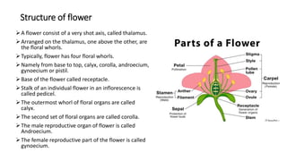 Comprehensive Study of Flower Structure and Forensic Palynology | PDF