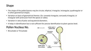 Triangular Protrusion Comprehensive Study of Flower Structure and Forensic Palynology | PDF