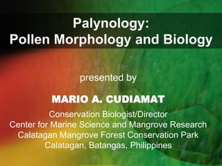 Palynology:
Pollen Morphology and Biology
presented by
MARIO A. CUDIAMAT
Conservation Biologist/Director
Center for Marine Science and Mangrove Research
Calatagan Mangrove Forest Conservation Park
Calatagan, Batangas, Philippines
 