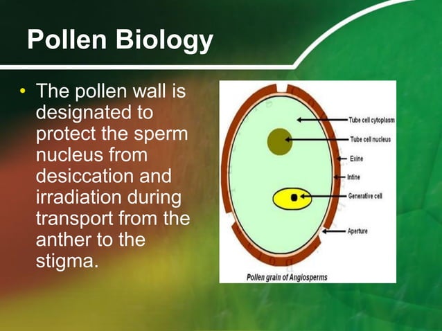 Palynology pollen morphology and biology | PDF | Gardening | Home & Garden