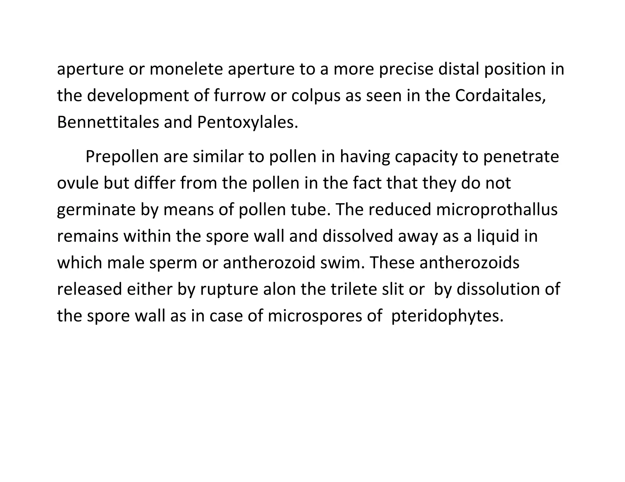 aperture or monelete aperture to a more precise distal position in
the development of furrow or colpus as seen in the Cordaitales,
Bennettitales and Pentoxylales.
Prepollen are similar to pollen in having capacity to penetrate
ovule but differ from the pollen in the fact that they do not
germinate by means of pollen tube. The reduced microprothallus
remains within the spore wall and dissolved away as a liquid in
which male sperm or antherozoid swim. These antherozoids
released either by rupture alon the trilete slit or by dissolution of
the spore wall as in case of microspores of pteridophytes.
 