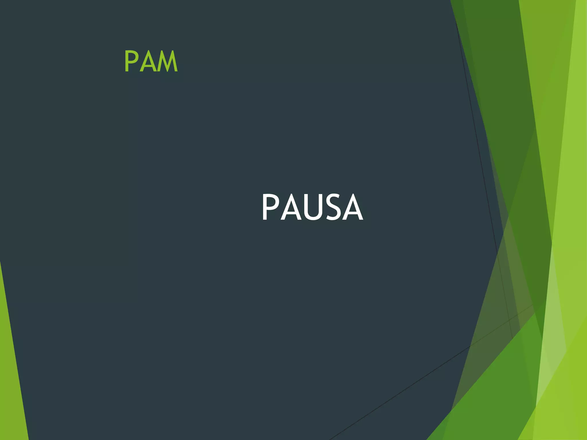 PAM
PAUSA
 