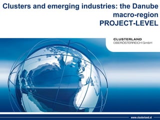 Clusters and emerging industries: the Danube
macro-region
PROJECT-LEVEL

 