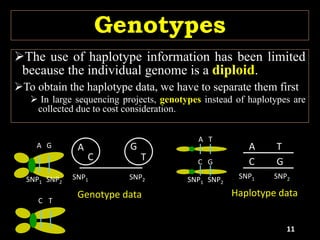 Genotypes
The use of haplotype information has been limited
because the individual genome is a diploid.
To obtain the haplotype data, we have to separate them first
 In large sequencing projects, genotypes instead of haplotypes are
collected due to cost consideration.
11
A
C
G
T
A T
SNP1 SNP2
C G
Haplotype data
SNP1 SNP2
Genotype data
A G
SNP1 SNP2
A T
C G
SNP1 SNP2
C T
 