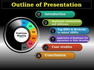 Tag SNPs & Methods
to select tSNPs.
Application of Haplotype led
approaches in Plant Breeding
Haplotype construction
and Inference
Case studies .
Introduction
Conclusion
01
Haplotype
Mapping
02
03
04
05
06
Outline of Presentation
 