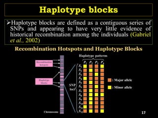 Haplotype blocks
Haplotype blocks are defined as a contiguous series of
SNPs and appearing to have very little evidence of
historical recombination among the individuals (Gabriel
et al., 2002)
Recombination Hotspots and Haplotype Blocks
17
 