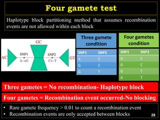 Four gamete test
Haplotype block partitioning method that assumes recombination
events are not allowed within each block
Four gametes = Recombination event occurred-No blocking
• Rare gamete frequency > 0.01 to count a recombination event
• Recombination events are only accepted between blocks
SNP1 SNP2
A C
G C
G T
SNP1 SNP2
A C
G C
G T
A T
Three gamete
condition
Four gametes
condition
Three gametes = No recombination- Haplotype block
28
 