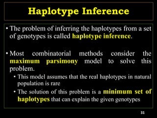 Haplotype Inference
• The problem of inferring the haplotypes from a set
of genotypes is called haplotype inference.
• Most combinatorial methods consider the
maximum parsimony model to solve this
problem.
• This model assumes that the real haplotypes in natural
population is rare
• The solution of this problem is a minimum set of
haplotypes that can explain the given genotypes
31
 