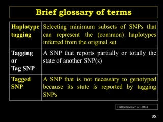 Brief glossary of terms
Haplotype
tagging
Selecting minimum subsets of SNPs that
can represent the (common) haplotypes
inferred from the original set
Tagging
or
Tag SNP
A SNP that reports partially or totally the
state of another SNP(s)
Tagged
SNP
A SNP that is not necessary to genotyped
because its state is reported by tagging
SNPs
Halldorsson et al., 2004
35
 