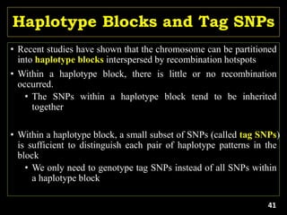 Haplotype Blocks and Tag SNPs
• Recent studies have shown that the chromosome can be partitioned
into haplotype blocks interspersed by recombination hotspots
• Within a haplotype block, there is little or no recombination
occurred.
• The SNPs within a haplotype block tend to be inherited
together
• Within a haplotype block, a small subset of SNPs (called tag SNPs)
is sufficient to distinguish each pair of haplotype patterns in the
block
• We only need to genotype tag SNPs instead of all SNPs within
a haplotype block
41
 