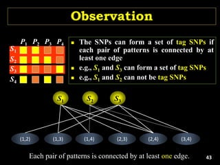 Observation
(1,2) (1,3) (1,4) (2,3) (2,4) (3,4)
S1 S3
Each pair of patterns is connected by at least one edge.
 The SNPs can form a set of tag SNPs if
each pair of patterns is connected by at
least one edge
 e.g., S1 and S3 can form a set of tag SNPs
 e.g., S1 and S2 can not be tag SNPs
P1 P2 P3 P4
S3
S4
S1
S2
S2
43
 