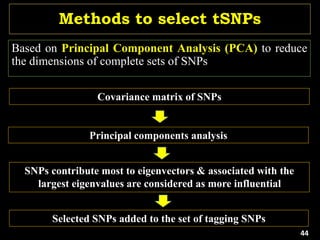 Methods to select tSNPs
Based on Principal Component Analysis (PCA) to reduce
the dimensions of complete sets of SNPs
Covariance matrix of SNPs
Principal components analysis
SNPs contribute most to eigenvectors & associated with the
largest eigenvalues are considered as more influential
Selected SNPs added to the set of tagging SNPs
44
 