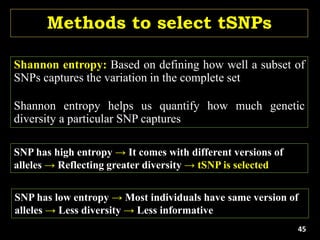 Shannon entropy: Based on defining how well a subset of
SNPs captures the variation in the complete set
Shannon entropy helps us quantify how much genetic
diversity a particular SNP captures
Methods to select tSNPs
SNP has high entropy → It comes with different versions of
alleles → Reflecting greater diversity → tSNP is selected
SNP has low entropy → Most individuals have same version of
alleles → Less diversity → Less informative
45
 