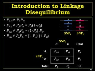 47
Introduction to Linkage
Disequilibrium
A B
A b
a B
a b
SNP1 SNP2
• PAB ≠ PAPB
• PAb ≠ PAPb = PA(1-PB)
• PaB ≠ PaPB = (1-PA) PB
• Pab ≠ PaPb = (1-PA) (1-PB)
B b Total
A PAB PaB PA
a PaB Pab Pa
Total PB Pb 1.0
SNP1
SNP2
 