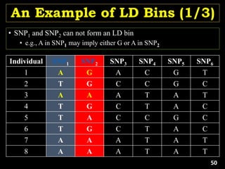 An Example of LD Bins (1/3)
• SNP1 and SNP2 can not form an LD bin
• e.g., A in SNP1 may imply either G or A in SNP2
Individual SNP1 SNP2 SNP3 SNP4 SNP5 SNP6
1 A G A C G T
2 T G C C G C
3 A A A T A T
4 T G C T A C
5 T A C C G C
6 T G C T A C
7 A A A T A T
8 A A A T A T
50
 