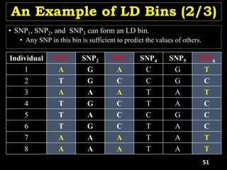 An Example of LD Bins (2/3)
• SNP1, SNP2, and SNP3 can form an LD bin.
• Any SNP in this bin is sufficient to predict the values of others.
Individual SNP1 SNP2 SNP3 SNP4 SNP5 SNP6
1 A G A C G T
2 T G C C G C
3 A A A T A T
4 T G C T A C
5 T A C C G C
6 T G C T A C
7 A A A T A T
8 A A A T A T
51
 