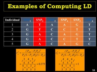 Examples of Computing LD
375
0
5
2
5
3
5
1
5
4
5
3
5
4
5
3
1
1
2
2
2
12
.
)
(
)
P
(
P
)
P
(
P
)
P
P
P
(
r
B
B
A
A
B
A
AB











Individual SNP1 SNP2 SNP3 SNP4 SNP5 SNP6
1 A T A A G T
2 G T C C T T
3 G A C A G T
4 G A C C T T
5 G A C A G C
1
5
1
5
4
5
1
5
4
5
4
5
4
5
4
1
1
2
2
2
13











)
(
)
P
(
P
)
P
(
P
)
P
P
P
(
r
B
B
A
A
B
A
AB
53
 