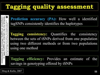 Ding & Kullo, 2007
Tagging quality assessment
Prediction accuracy (PA): How well a identified
tagSNPs consistently identifies the haplotypes
Tagging consistency: Quantifies the consistency
between the sets of tSNPs derived from one population
using two different methods or from two populations
using one method
Tagging efficiency: Provides an estimate of the
savings in genotyping offered by tSNPs
55
 
