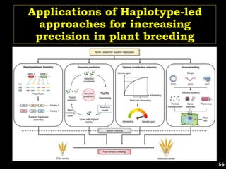 Applications of Haplotype-led
approaches for increasing
precision in plant breeding
56
 