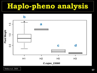 Haplo-pheno analysis
Sinha et al., 2020
DNA Sequence
GATATTCGTACGGAT
GATGTTCGTACTGAT
GATATTCGTACGGAT
GATATTCGTACGGAT
GATGTTCGTACTGAT
GATGTTCGTACTGAT
SNP
SNP
Individuals
with
contrasting
phenotypes
1
2
3
4
5
6
Genetic Map
Candidate gene
Phenotype
distribution
57
 