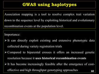 GWAS using haplotypes
Association mapping is a tool to resolve complex trait variation
down to the sequence level by exploiting historical and evolutionary
recombination events at the population level.
Importance:
It can directly exploit existing and extensive phenotypic data
collected during variety registration trials
Compared to biparental crosses it offers an increased genetic
resolution because it uses historical recombination events
It has become increasingly feasible after the emergence of cost-
effective and high throughput genotyping approaches 60
 