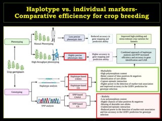 Haplotype vs. individual markers-
Comparative efficiency for crop breeding
62
 