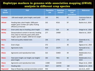 Crop
Species
Trait Population
size
Haplotype
markers
Haplotype-
trait
associations
References
Soybean 100-seed weight; plant height; seed yield 169 941 87 Contreras-Soto et
al., 2017
Wheat Heading date; plant height; 1000-grain
weight; grain number per spike; fruiting
efficiency at harvest
102 4516 97 Basile et al., 2019
Wheat Grain yield; days to heading; plant height 6461 519 36 Sehgal et al., 2020
Barley Deoxynivalenol content in kernels; heading
time; days to maturity; grain yield; plant
height; specific weight; 1000-kernel weight
277 14400 - Abed et al., 2019
Barley Yield and quality-related traits 106 2770 23 Gawenda et al.,
2019
Rice Grain shape 372 30 Ogawa et al., 2021
Rice Agronomic traits 414 15275 Hamazaki et al.,
2020
Maize Agronomic and reproductive traits 322 53403 44 Maldonado et al.,
2019
Maize Total plant height; ear height; ear height/
plant height
183 7831 40 Maldonado et al.,
2019
Maize Agronomic and reproductive traits >1000 154104 Mayer et al., 2020
Oat Heading date 4657 164741 184 Bekele et al., 2018
Rapeseed Days to flowering; seed glucosinolate content 950 15 Jan et al., 2019
Haplotype markers in genome-wide association mapping (GWAS)
analysis in different crop species
64
 