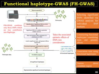 Functional haplotype-GWAS (FH-GWAS)
FH-GWAS combines
only those SNPs which
are true contributors
into Haplotype
Selecting significant
SNPs identified via
GWAS analysis for
individual SNP
markers
Constructing functional
haplotypes considering
main and epistatic
effects
Association tests using
functional haplotypes
Narrow down
candidate region
Takes the associated
epistatic effects of
SNPs into
consideration
66
 
