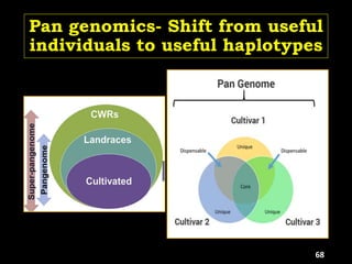 Pan genomics- Shift from useful
individuals to useful haplotypes
68
 