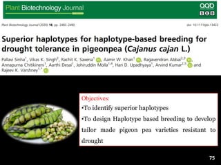 Objectives:
•To identify superior haplotypes
•To design Haplotype based breeding to develop
tailor made pigeon pea varieties resistant to
drought
75
 