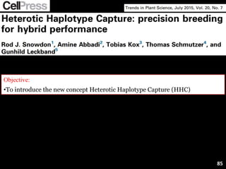 Objective:
•To introduce the new concept Heterotic Haplotype Capture (HHC)
85
 