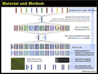 -50 lines
Material and Method:
86
 