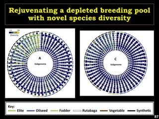 Rejuvenating a depleted breeding pool
with novel species diversity
87
 