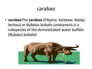 Pambansang sagisag | PPTX