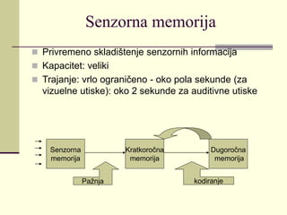 Perazna Memory Pamćenje i zaboravljanje | PPT