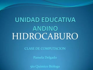 HIDROCABURO
  CLASE DE COMPUTACION

      Pamela Delgado

    5to Químico Biólogo
 