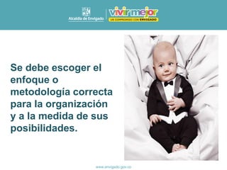 Se debe escoger el
enfoque o
metodología correcta
para la organización
y a la medida de sus
posibilidades.
 