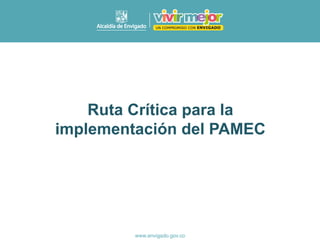 Ruta Crítica para la
implementación del PAMEC
 