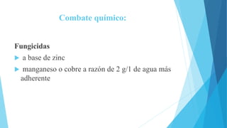 Combate químico:
Fungicidas
 a base de zinc
 manganeso o cobre a razón de 2 g/1 de agua más
adherente
 