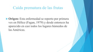 Caída prematura de las frutas
 Origen: Esta enfermedad se reporto por primera
ves en Hélice (Fagan, 1979) y desde entonces ha
aparecido en casi todos los lugares húmedos de
las Américas.
 