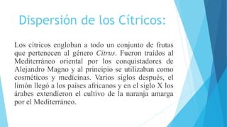 Dispersión de los Cítricos:
Los cítricos engloban a todo un conjunto de frutas
que pertenecen al género Citrus. Fueron traídos al
Mediterráneo oriental por los conquistadores de
Alejandro Magno y al principio se utilizaban como
cosméticos y medicinas. Varios siglos después, el
limón llegó a los países africanos y en el siglo X los
árabes extendieron el cultivo de la naranja amarga
por el Mediterráneo.
 
