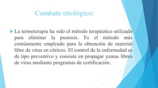 Combate etiológico:
 La termoterapia ha sido el método terapéutico utilizado
para eliminar la psorosis. Es el método más
comúnmente empleado para la obtención de material
libre de virus en cítricos. El control de la enfermedad es
de tipo preventivo y consiste en propagar yemas libres
de virus mediante programas de certificación.
 