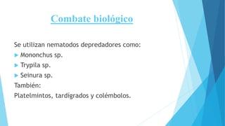 Combate biológico
Se utilizan nematodos depredadores como:
 Mononchus sp.
 Trypila sp.
 Seinura sp.
También:
Platelmintos, tardígrados y colémbolos.
 